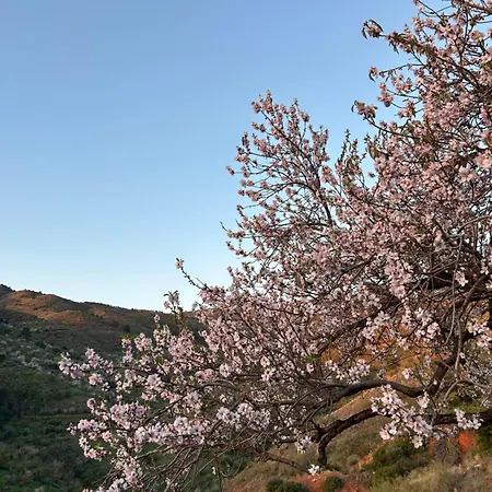 La Bodega Castell de Ferro