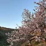 La Bodega Castell de Ferro